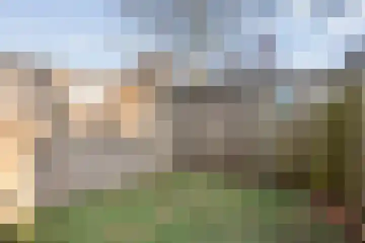 Kometenlaan 2 Hardenberg thumbnail 36