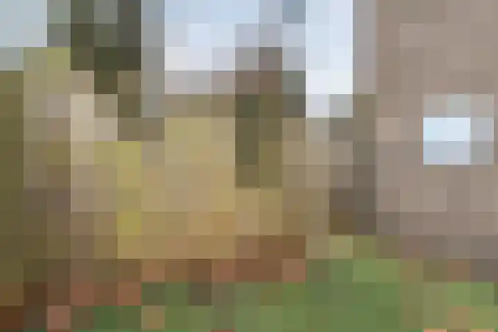 Kometenlaan 2 Hardenberg thumbnail 37