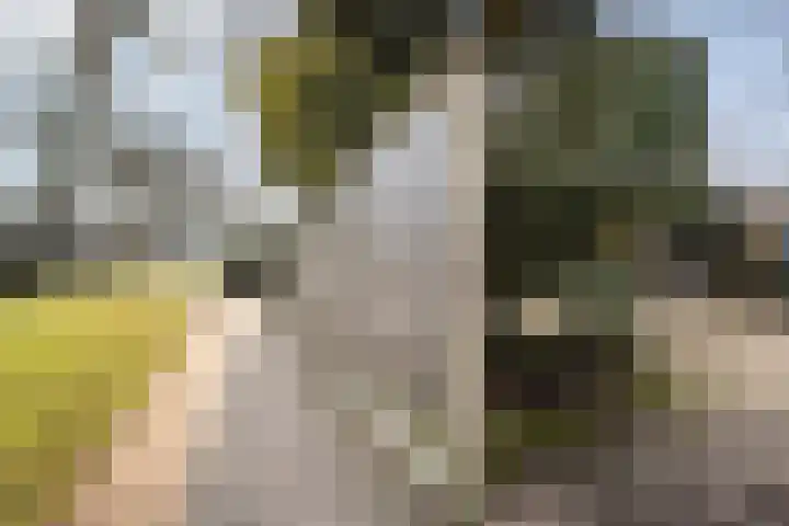 Kometenlaan 2 Hardenberg thumbnail 38