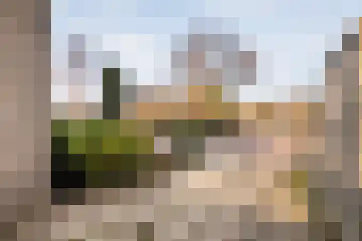Kometenlaan 2 Hardenberg thumbnail 39