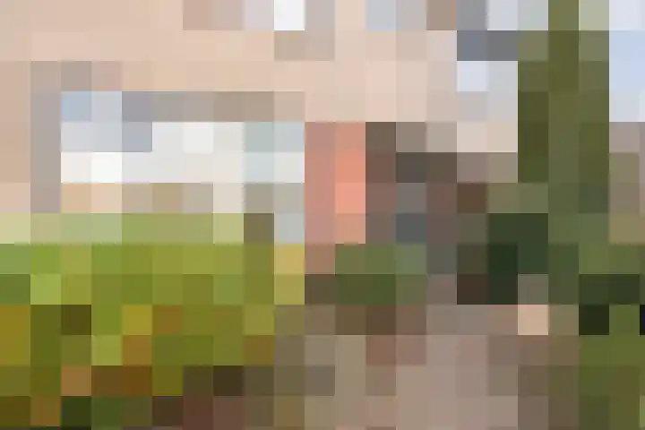 Kometenlaan 2 Hardenberg thumbnail 4