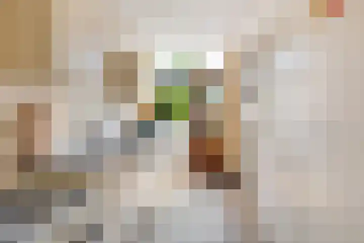 Kometenlaan 20 Bilthoven thumbnail 12