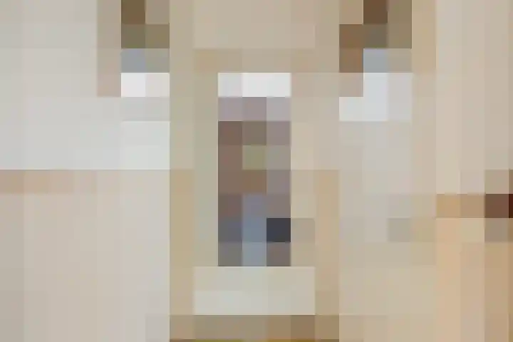 Kometenlaan 20 Bilthoven thumbnail 15