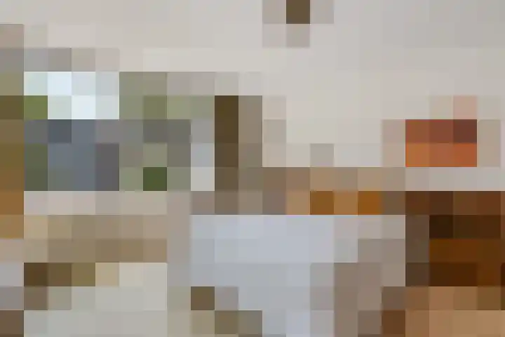 Kometenlaan 20 Bilthoven thumbnail 25