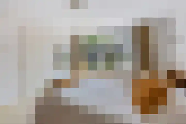 Kometenlaan 20 Bilthoven thumbnail 26