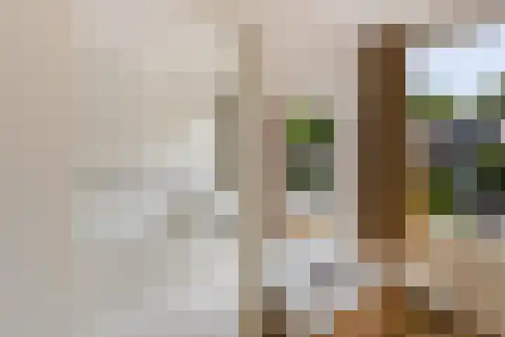 Kometenlaan 20 Bilthoven thumbnail 27