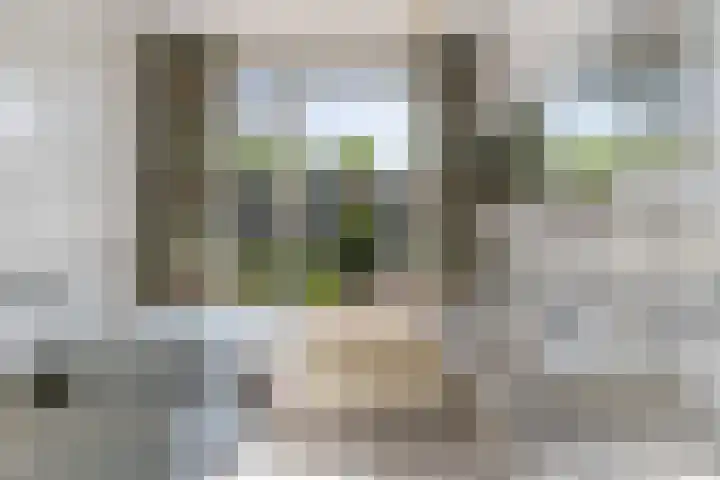 Kometenlaan 20 Bilthoven thumbnail 28