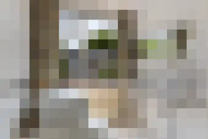 Kometenlaan 20 Bilthoven thumbnail 29