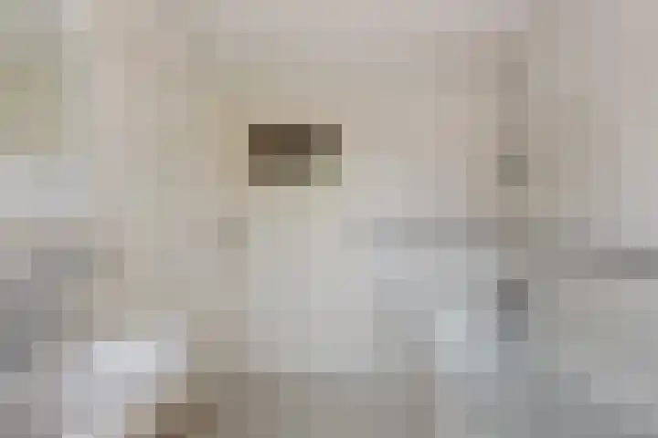 Kometenlaan 20 Bilthoven thumbnail 30