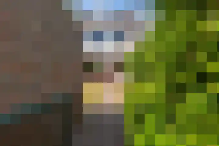 Kometenlaan 20 Bilthoven thumbnail 37