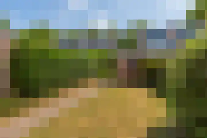 Kometenlaan 20 Bilthoven thumbnail 39