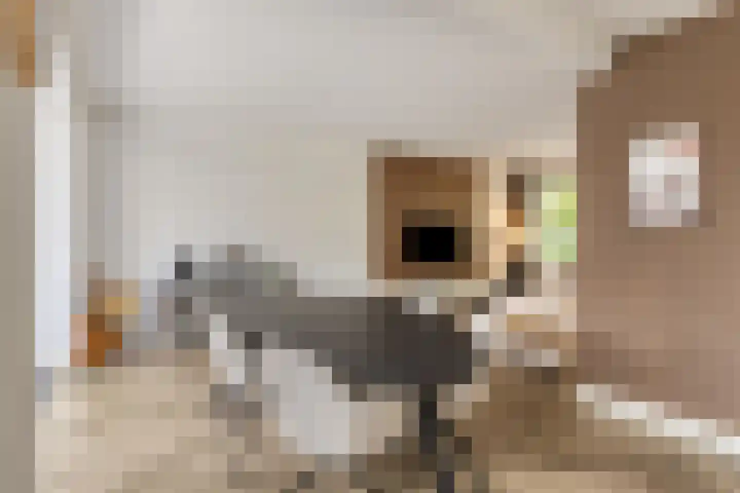 Kometenlaan 21 Veldhoven thumbnail 10