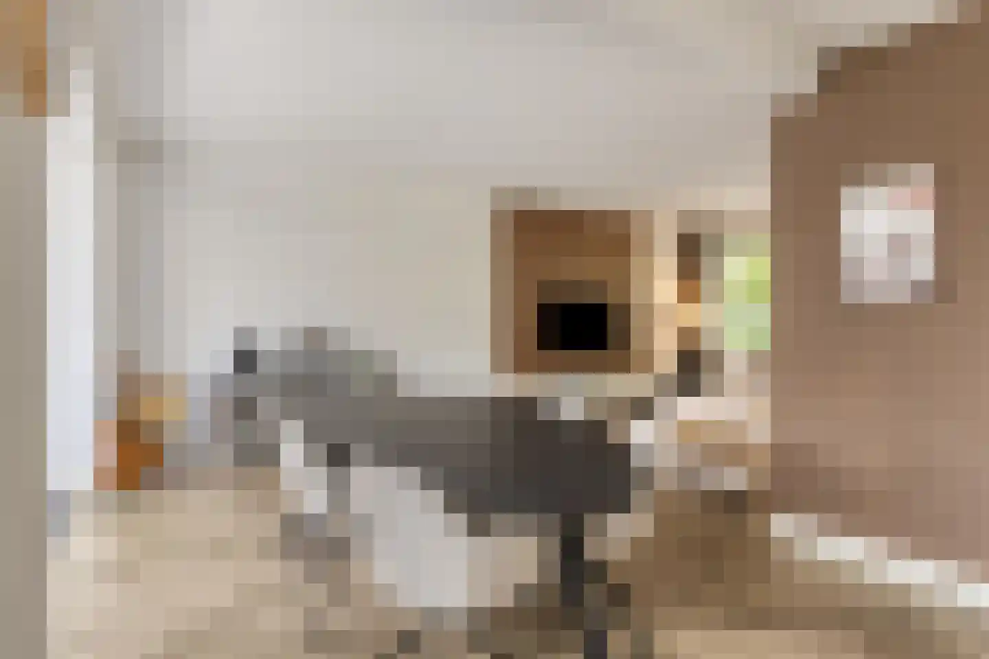 Kometenlaan 21 Veldhoven thumbnail 10
