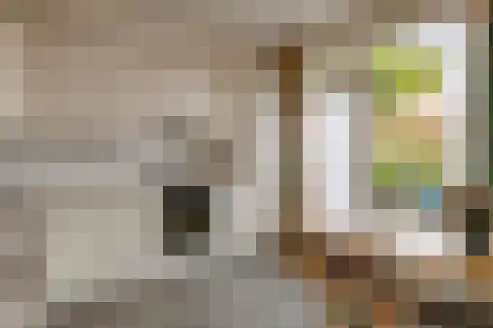 Kometenlaan 23 Veldhoven thumbnail 16