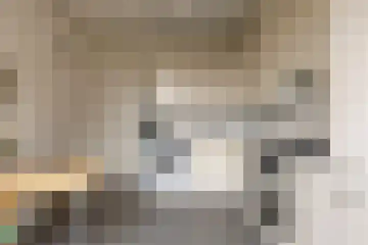 Kometenlaan 23 Veldhoven thumbnail 17