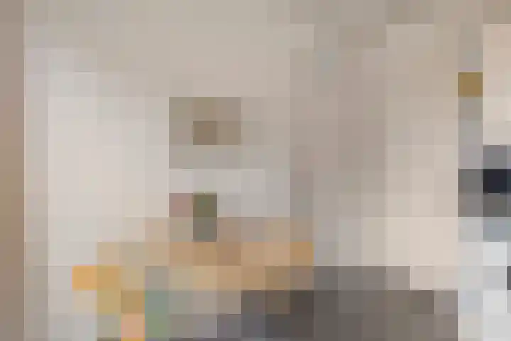 Kometenlaan 23 Veldhoven thumbnail 18