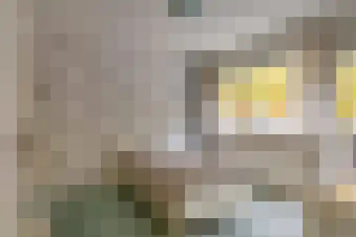 Kometenlaan 23 Veldhoven thumbnail 20