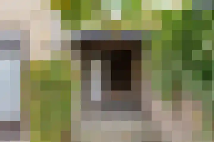 Kometenlaan 23 Veldhoven thumbnail 33