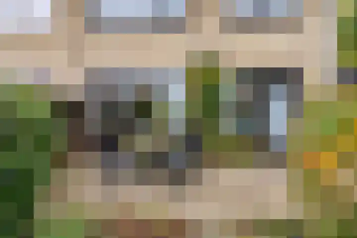 Kometenlaan 23 Veldhoven thumbnail 34