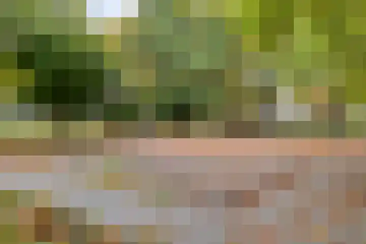 Kometenlaan 23 Veldhoven thumbnail 38