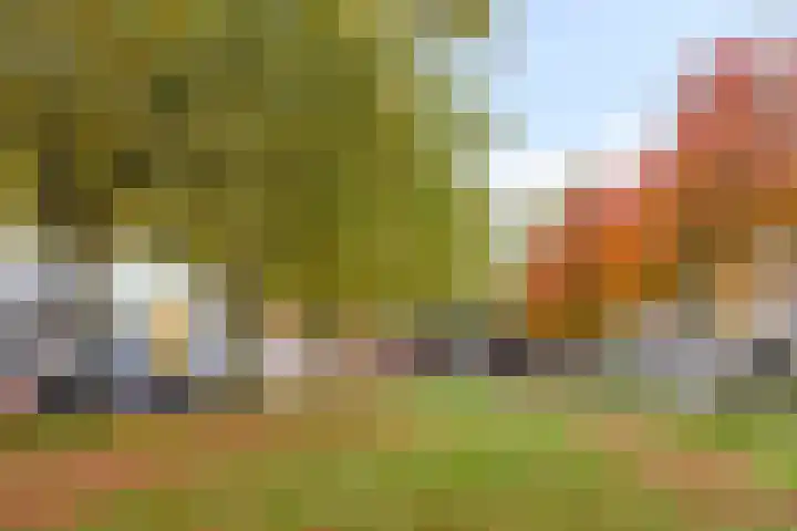 Kometenlaan 23 Veldhoven thumbnail 39