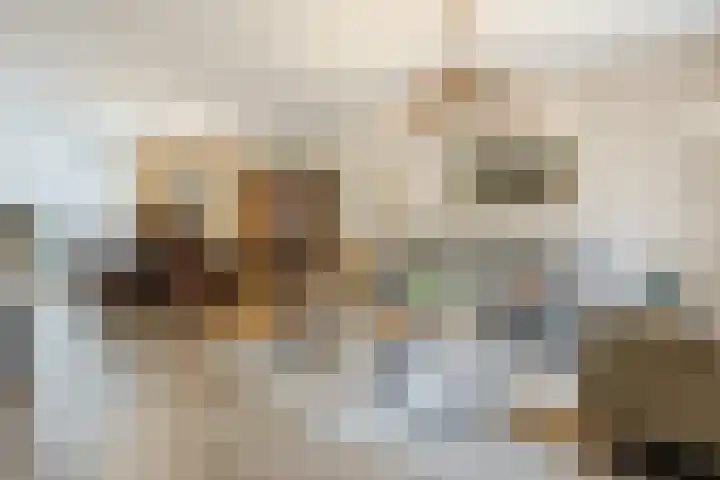 Kometenlaan 25 Bergen op Zoom thumbnail 12