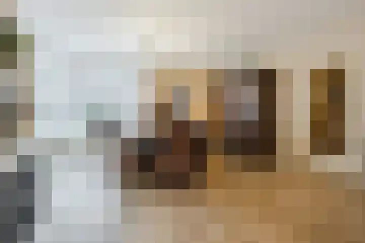 Kometenlaan 25 Bergen op Zoom thumbnail 13