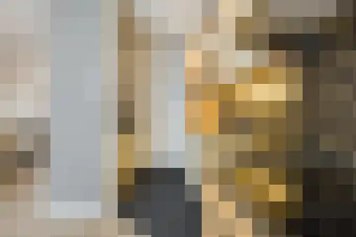 Kometenlaan 25 Bergen op Zoom thumbnail 17
