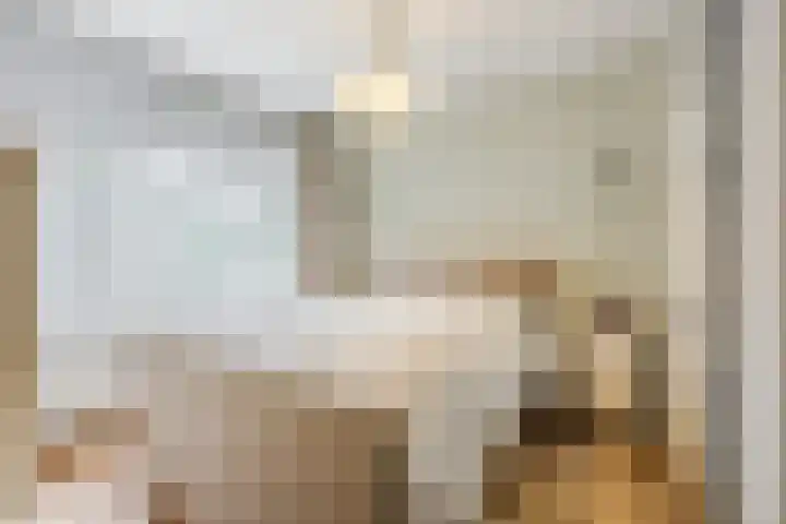 Kometenlaan 25 Bergen op Zoom thumbnail 31