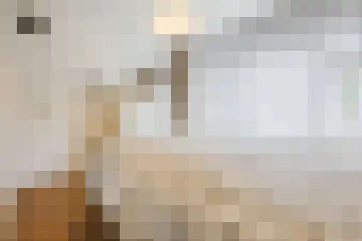 Kometenlaan 25 Bergen op Zoom thumbnail 32