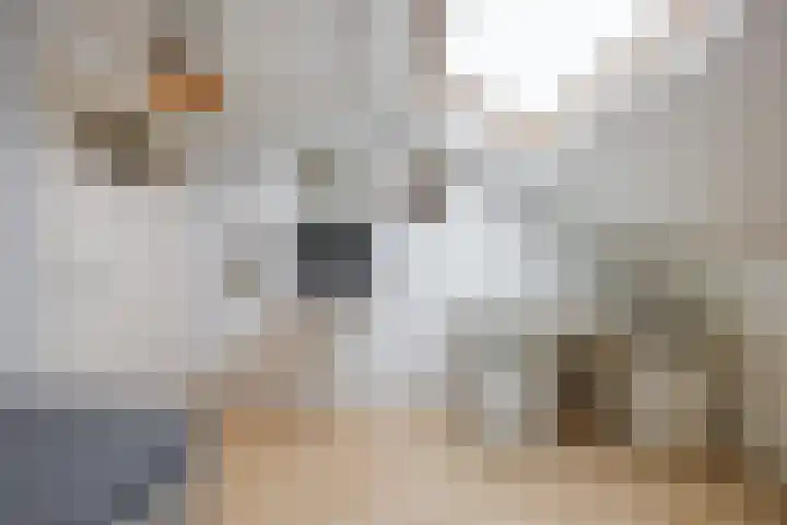 Kometenlaan 25 Bergen op Zoom thumbnail 37