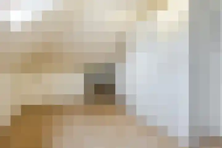 Kometenlaan 25 Bergen op Zoom thumbnail 39