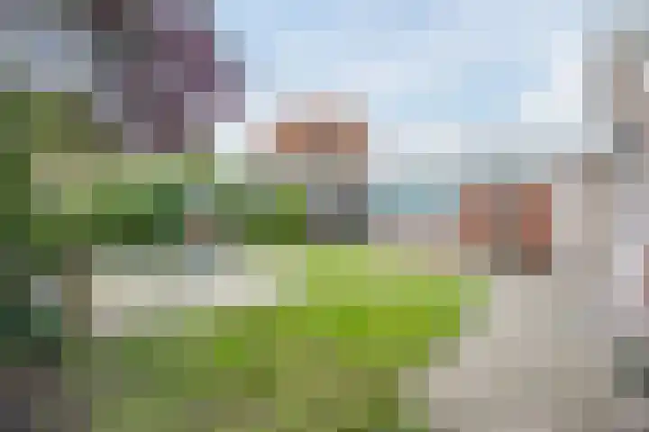 Kometenlaan 25 Bergen op Zoom thumbnail 48
