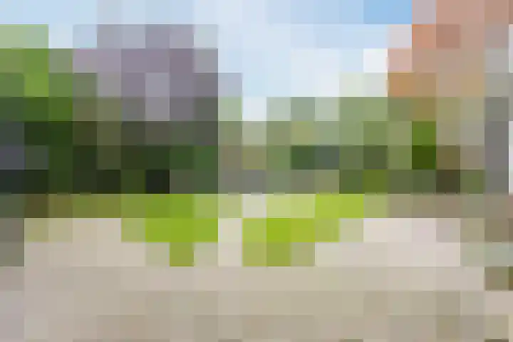 Kometenlaan 25 Bergen op Zoom thumbnail 49