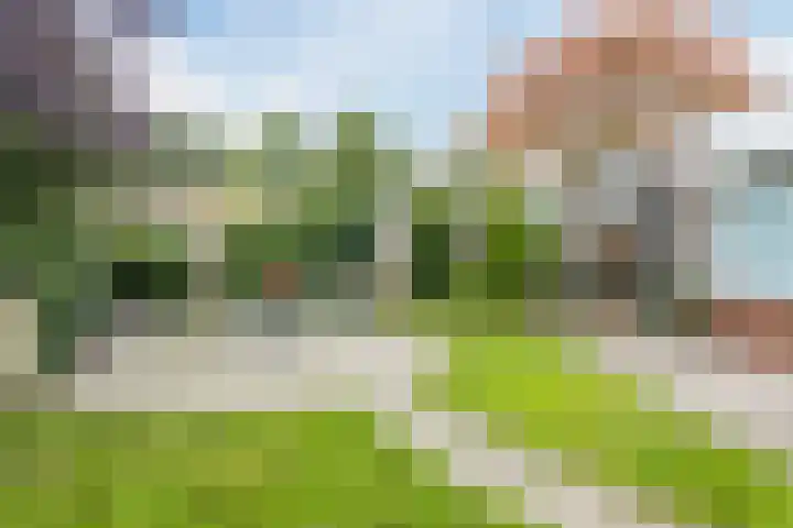 Kometenlaan 25 Bergen op Zoom thumbnail 50