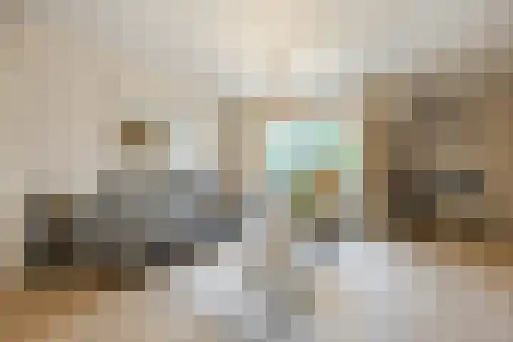 Kometenlaan 25 Bergen op Zoom thumbnail 9