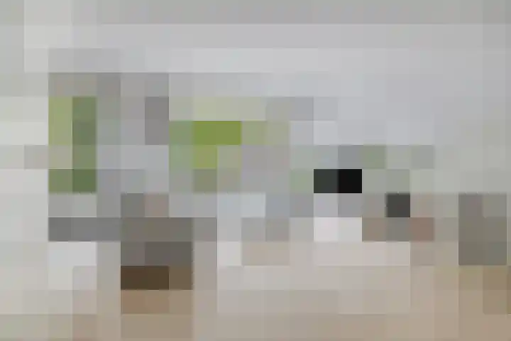 Kometenlaan 28 Huis ter Heide thumbnail 11