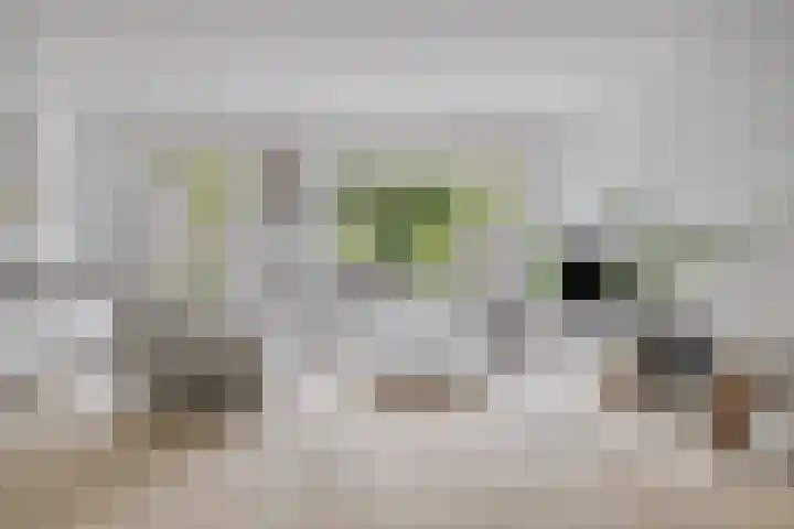 Kometenlaan 28 Huis ter Heide thumbnail 12