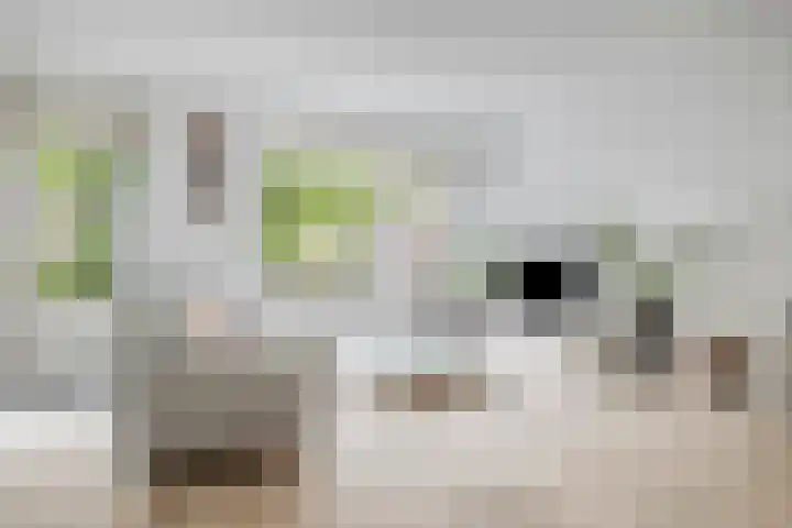 Kometenlaan 28 Huis ter Heide thumbnail 13