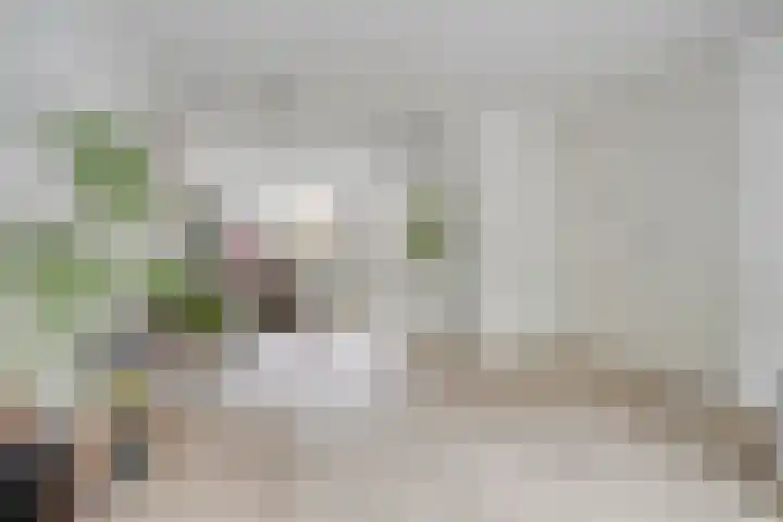 Kometenlaan 28 Huis ter Heide thumbnail 15