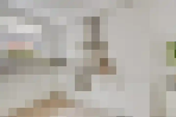 Kometenlaan 28 Huis ter Heide thumbnail 17