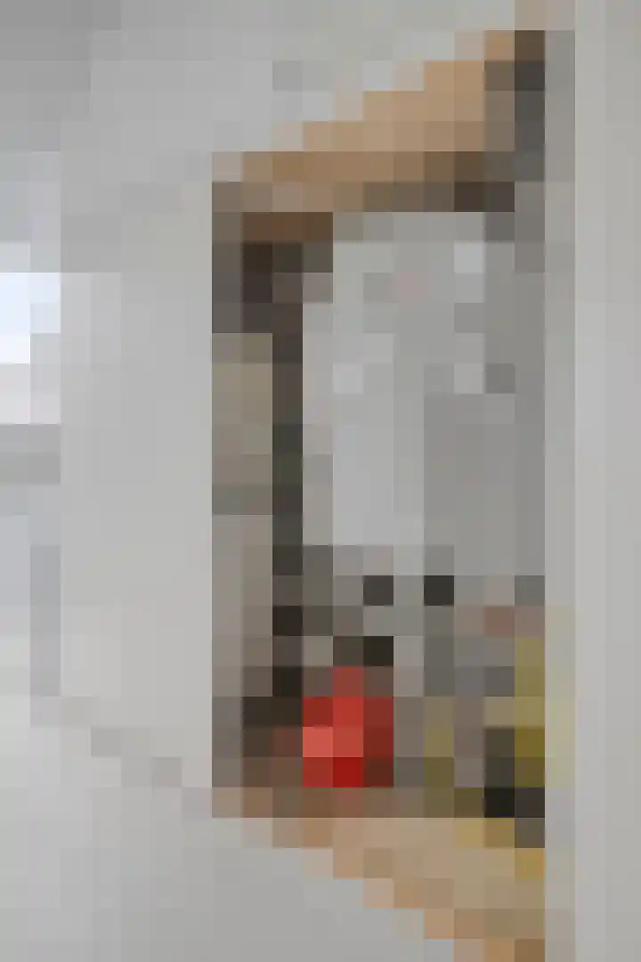Kometenlaan 28 Huis ter Heide thumbnail 30