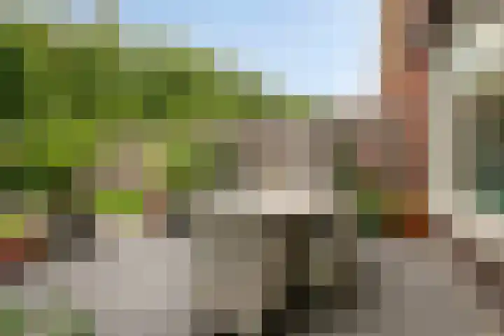 Kometenlaan 28 Huis ter Heide thumbnail 33