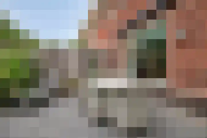 Kometenlaan 28 Huis ter Heide thumbnail 35