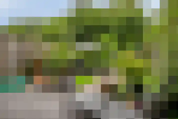 Kometenlaan 28 Huis ter Heide thumbnail 36