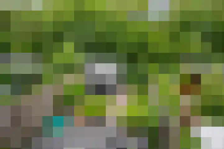 Kometenlaan 28 Huis ter Heide thumbnail 4