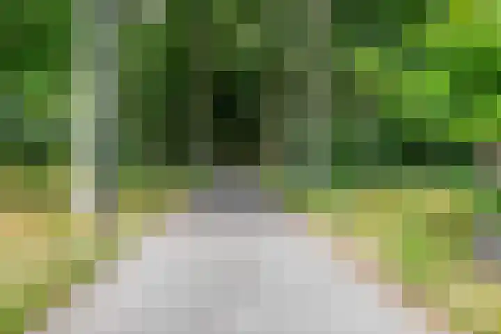 Kometenlaan 28 Huis ter Heide thumbnail 42