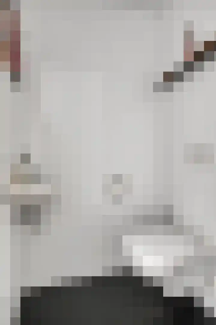 Kometenlaan 28 Huis ter Heide thumbnail 9