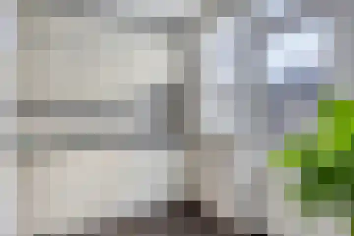 Kometenlaan 29 Oosterhout thumbnail 10