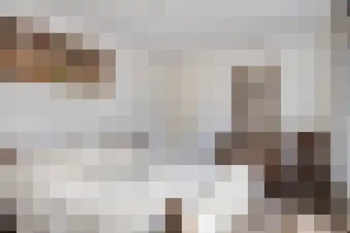 Kometenlaan 29 Oosterhout thumbnail 13